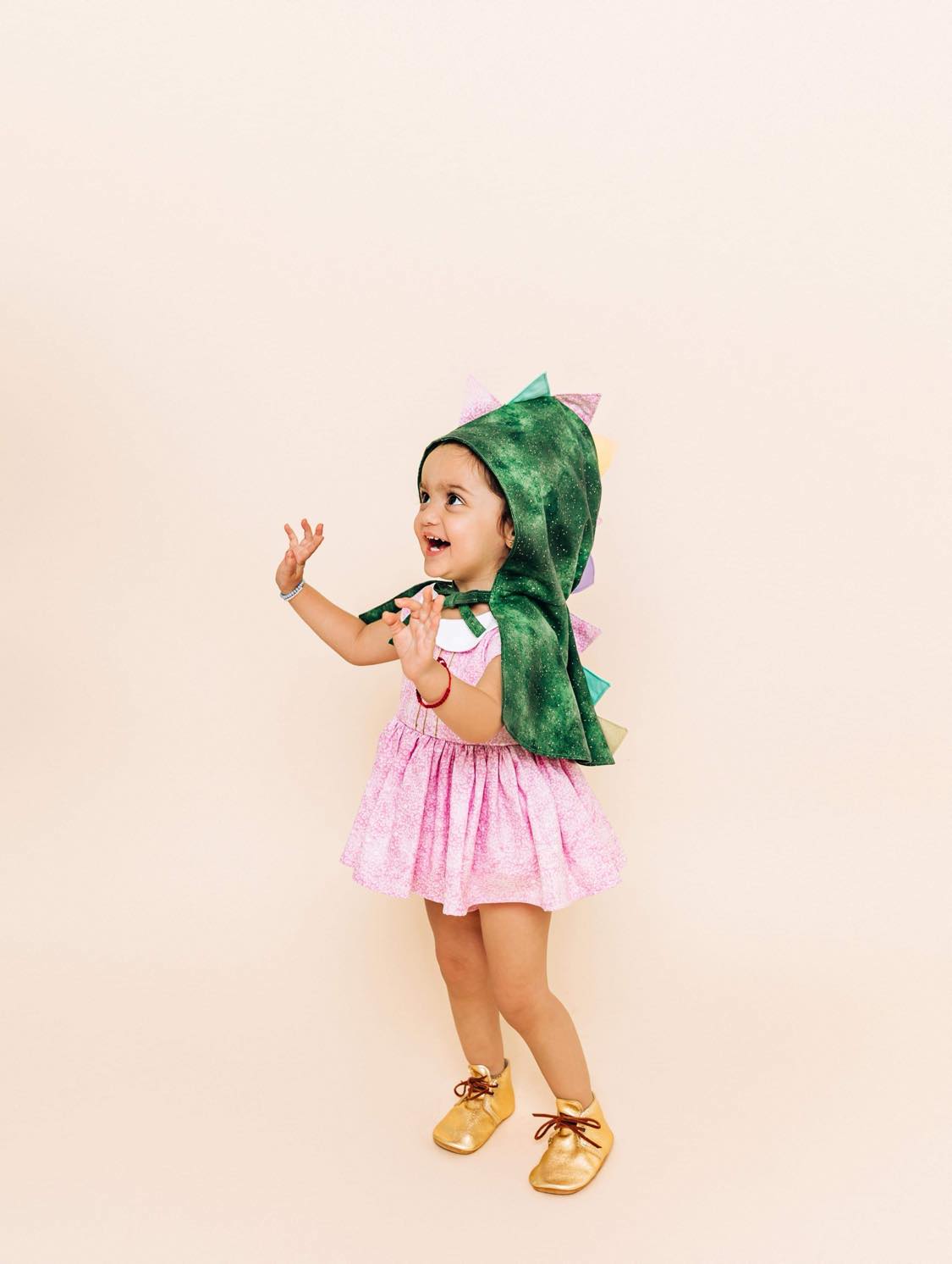 Custom - A Classic Pink Dino